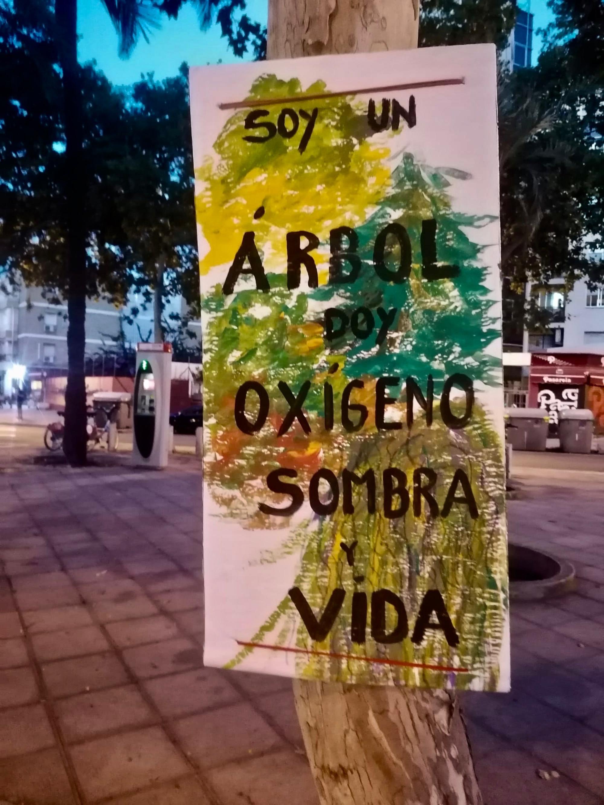 arboles sevilla 2